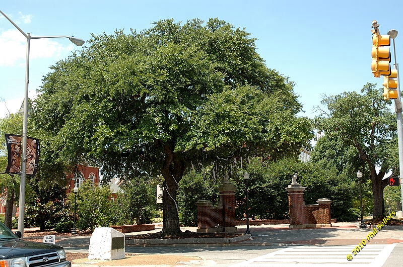 2010_auburn_hike_51.jpg 485.1 KB