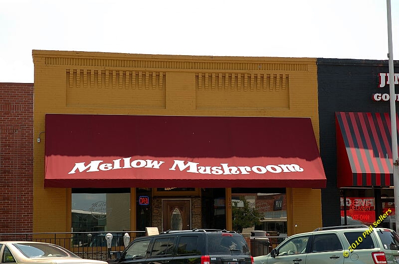 2010_auburn_hike_58.jpg 229.1 KB