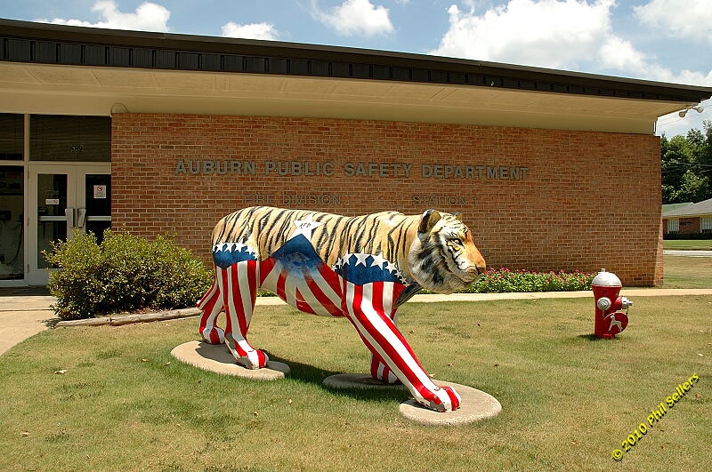 2010_auburn_hike_65.jpg 388.2 KB