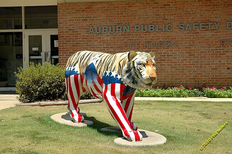 2010_auburn_hike_66.jpg 452.4 KB