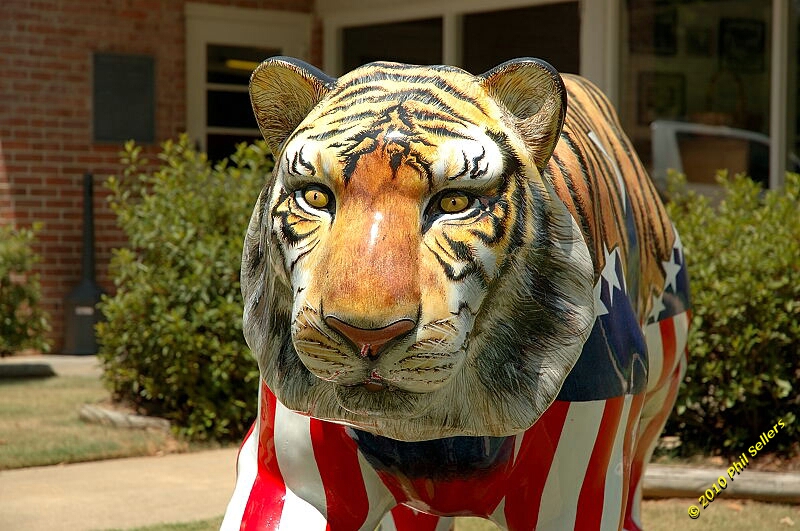 2010_auburn_hike_67.jpg 333.1 KB