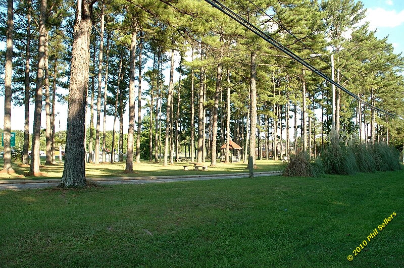 20100705_Sylacauga_Trails_12.jpg 541.1 KB