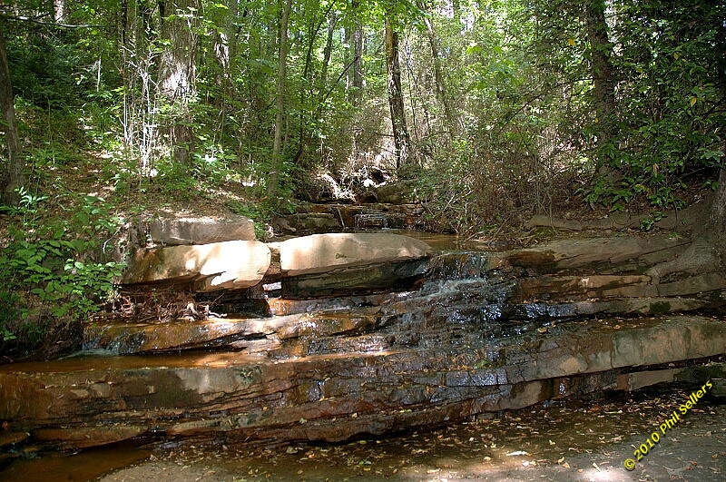2010_vestavia_trail_12.jpg 511.2 KB